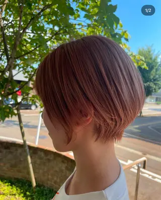 ショート 白木 柾美のヘアスタイル