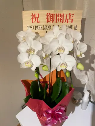 吉祥寺温活痩身専門店 🎀 manaのエステ・リラクイメージ