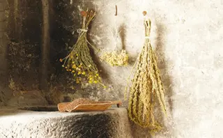 高橋 雅人のマツエク・マツパデザイン