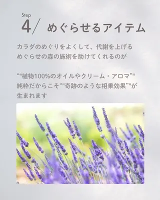 めぐらせの 森のその他イメージ