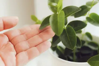 タイ古式マッサージ ＆オイル🇹🇭あこのエステ・リラクイメージ