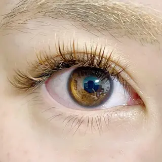 マツエク・マツパ まつげ屋さんLAPU AYAKAのマツエク・マツパデザイン