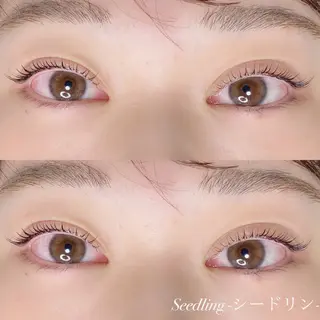 マツエク・マツパ シードリン 府内店 小野梨央のマツエク・マツパデザイン