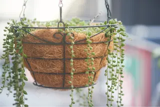 ヘッドスパサロン🫧 ハヤシのヘアスタイル