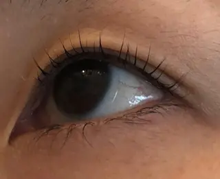 マツエク・マツパ eyelash momoのマツエク・マツパデザイン