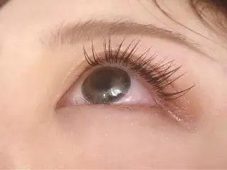 マツエク・マツパ Sylph & SCENEのマツエク・マツパデザイン