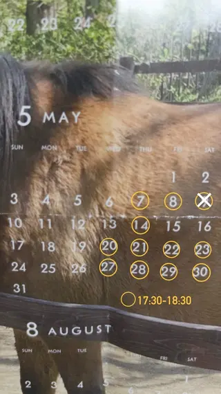 カラー shiozaki izumiのヘアスタイル