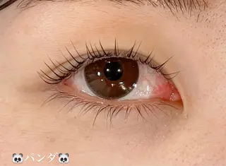 マツエク・マツパ Butterfly 平塚店　中島のマツエク・マツパデザイン