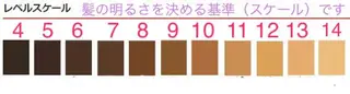 カラー エレガンス 六甲店のヘアスタイル