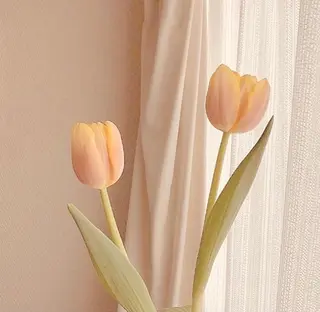 マツエク・マツパ TIARA Reinaのマツエク・マツパデザイン