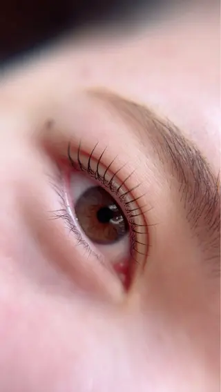 マツエク・マツパ Maile leaf 【マイレリーフ】のマツエク・マツパデザイン