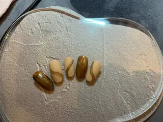 ネイル ネイルサロン ショコラのネイルデザイン