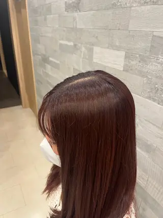 カラー 縮毛矯正/韓国風ヘア /ツバキのヘアスタイル