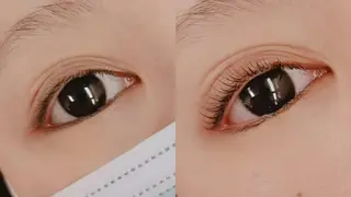 マツエク・マツパ 胡蝶蘭レディースサロ ン眉マツパエクステの眉毛・アイブロウイメージ