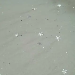 ネイル nail salon Miiのネイルデザイン