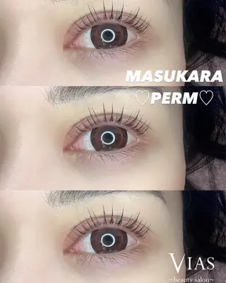 マツエク・マツパ VIAS RUKAのマツエク・マツパデザイン