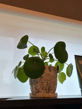 フェイシャルサロン ビアンカガーデンのエステ・リラクイメージ