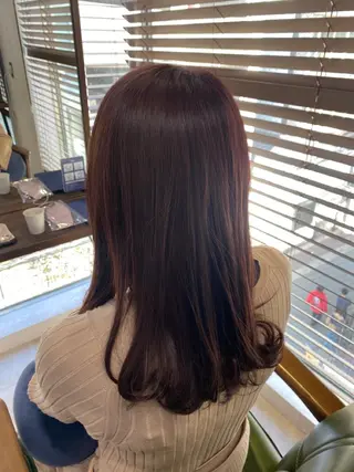 セミロング マツモト シゲキのヘアスタイル