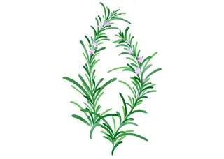 岩崎 .のエステ・リラクイメージ