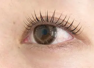 マツエク・マツパ ViVRE 博多店のマツエク・マツパデザイン