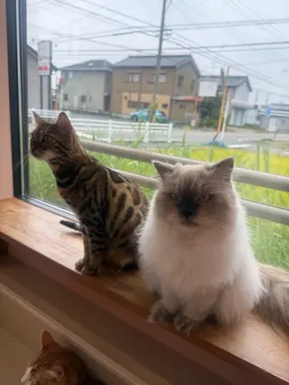 メナード丸の内ヒルズ 柳田りさのエステ・リラクイメージ