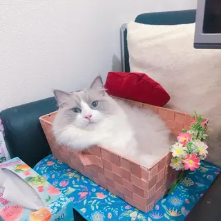 USAMiMi 🐰💕のネイルデザイン