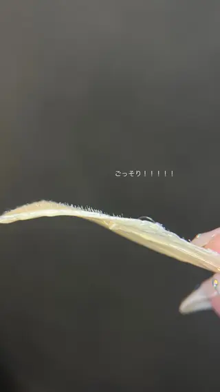 艶肌wax🫧 kyokaの眉毛・アイブロウイメージ