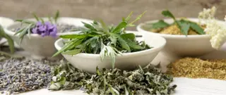 野田 知奈弥のエステ・リラクイメージ