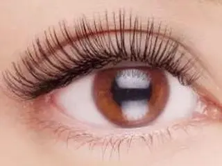マツエク・マツパ White eye 金沢店のマツエク・マツパデザイン