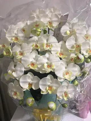 肌質改善サロン 来店プレゼントありのエステ・リラクイメージ