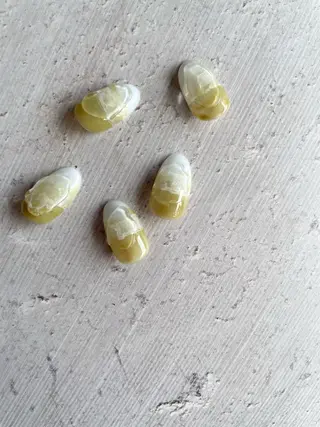 ネイル tliengle ［ﾄﾘｱﾝｸﾞﾙ］のネイルデザイン