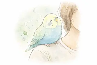 今野 弥沙子のエステ・リラクイメージ