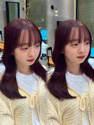 セミロング カラー Natsuki/韓国 ボブ/レイヤーカットのヘアスタイル