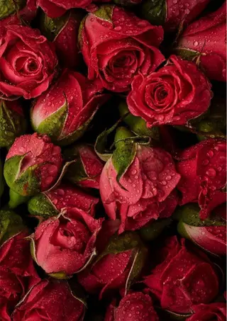 🫧縮毛矯正／カラー ／bless松浦🫧のヘアスタイル