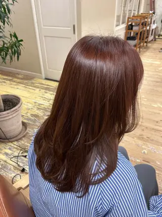カラー 艶カラー🫧/ 板倉かなみのヘアスタイル