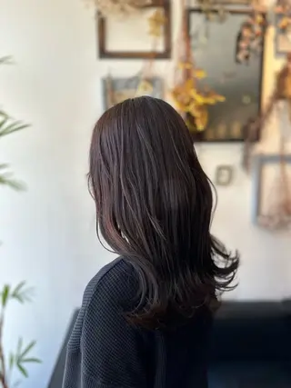 セミロング カラー 💜推しインナー カラー/菊池柊真💜のヘアスタイル