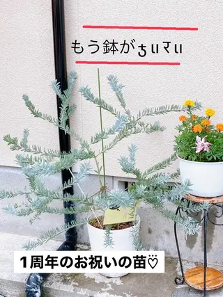 メナード熊本 嘉島のその他イメージ