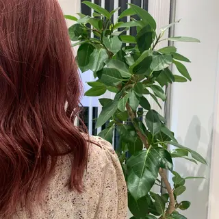 セミロング カラー ヘアアレンジ 小白井 由美のヘアスタイル