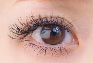 マツエク・マツパ アイサロン フェア 川崎店のマツエク・マツパデザイン