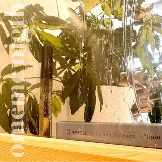 マツエク・マツパ utari matsugeのマツエク・マツパデザイン