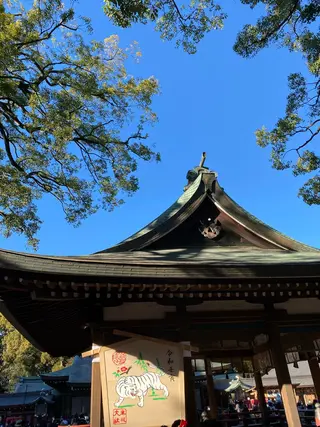 マツエク・マツパ 神山 ビューティー・アイのマツエク・マツパデザイン