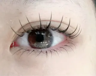 マツエク・マツパ 大人気🌸ran L ED専門店/パリエクのマツエク・マツパデザイン