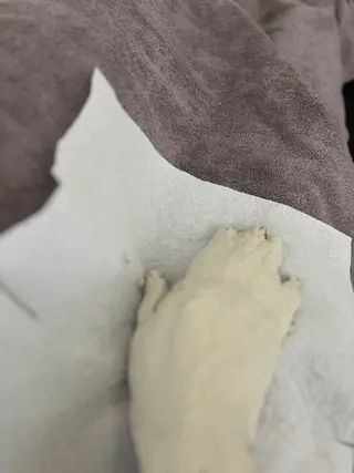 アロマサロン/ Lupinusのその他イメージ