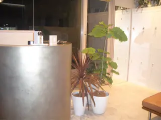 ワタナベ ヒヨリのヘアスタイル