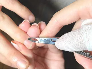 ネイル パラジェル専門店 Nail＆Handcare CONTRAIL【コントレイル】所属・CONTRAIL suzuna🪽のネイルデザイン