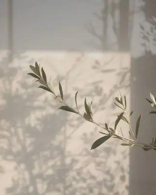 アイブロウ m♡ eyelashのマツエク・マツパデザイン