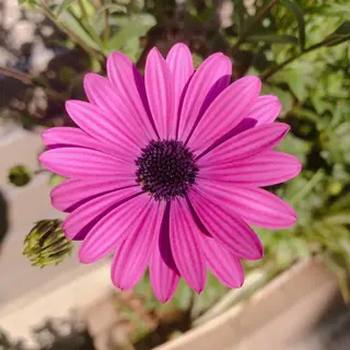 マツエク・マツパ なかむら 🪡のマツエク・マツパデザイン