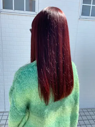 ロング カラー 星野 美沙のヘアスタイル