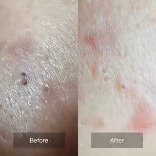 ヌーベル プリュムのその他イメージ