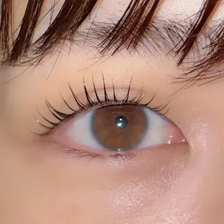 マツエク・マツパ ai一重専門🎀束感 まつげ🫧表参道の眉毛・アイブロウイメージ
